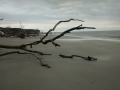 IMG_20150404_143440870.jpg