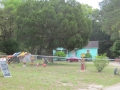 IMG_7887_2.JPG