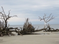 IMG_7943_2.JPG