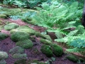 IMG_4605.JPG