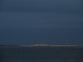 IMG_1183.JPG