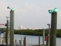 IMG_6727.JPG