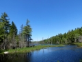 IMG_4733.JPG