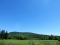 IMG_4736.JPG