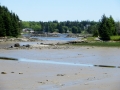 IMG_4754.JPG