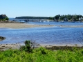 IMG_4768.JPG