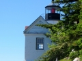 IMG_4794.JPG