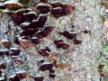 IMG_4807.JPG