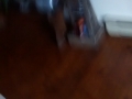IMG_20150531_182606011.jpg