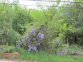 IMG_8030.JPG