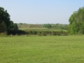 IMG_8176.JPG