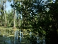 IMG_20150424_151856515.jpg