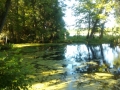 IMG_20150424_170100954.jpg