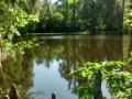 IMG_20150424_170123859_HDR.jpg