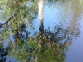 IMG_20150424_170759217.jpg