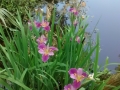 IMG_20150424_170905319.jpg