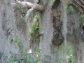 IMG_9917.JPG