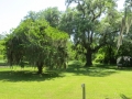 IMG_9934.JPG