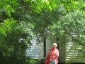 IMG_9943.JPG