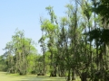 IMG_9945.JPG