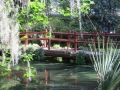 IMG_9951.JPG