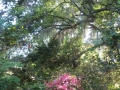IMG_9965.JPG