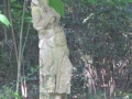 IMG_9966.JPG