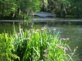 IMG_9969.JPG