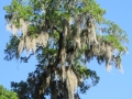 IMG_9978.JPG