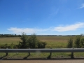 IMG_8220_1