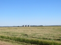 IMG_8243_1