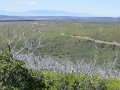 IMG_5830_1
