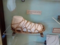 IMG_20140923_144145253
