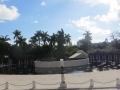 IMG_5343.JPG