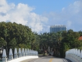 IMG_5366.JPG