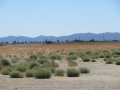 IMG_4127_2