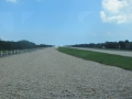 IMG_6575_1.JPG