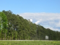 IMG_0603_2.JPG