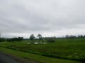 IMG_3420.JPG