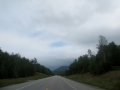 IMG_3479.JPG