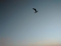 IMG_20150303_182414053.jpg