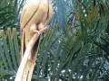 IMG_4799.JPG