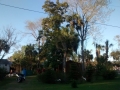 IMG_20150211_172704569.jpg