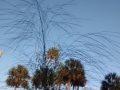 IMG_20150211_173228152.jpg