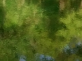 IMG_20150320_112949990.jpg