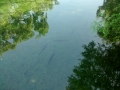 IMG_20150320_115834415.jpg