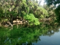 IMG_20150320_115849398.jpg