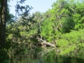 IMG_6826.JPG