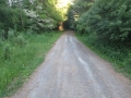 IMG_2043.JPG