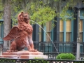IMG_7835.JPG